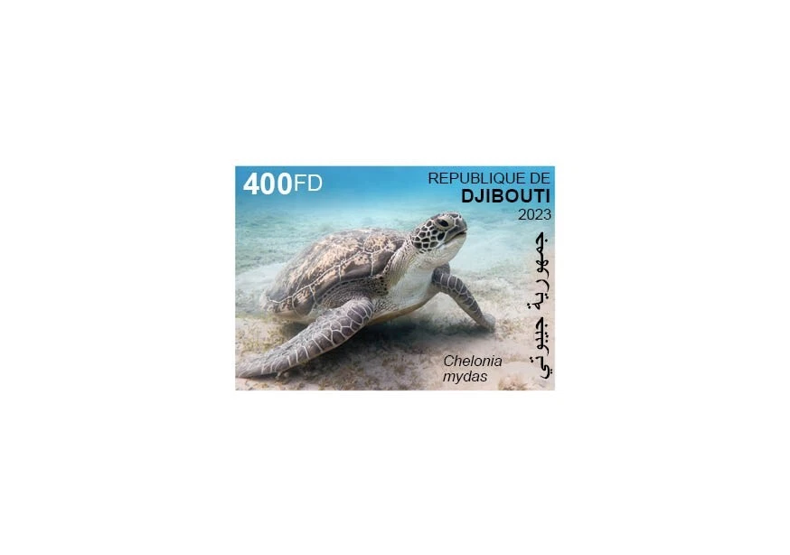 DJIBOUTI 2023 DELUXE PROOF (REG & OVPT) - TURTLES TORTUES TURTLE PANDEMIC - MNH - Photo 2/3