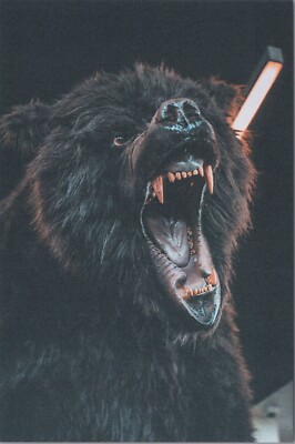 Bear Snout Open Teeth Exposed ~ New 2023 Animal Image Cards~4''x6'' 8151.2 MR ALE