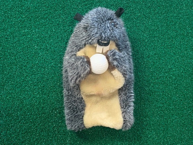 beaver headcover
