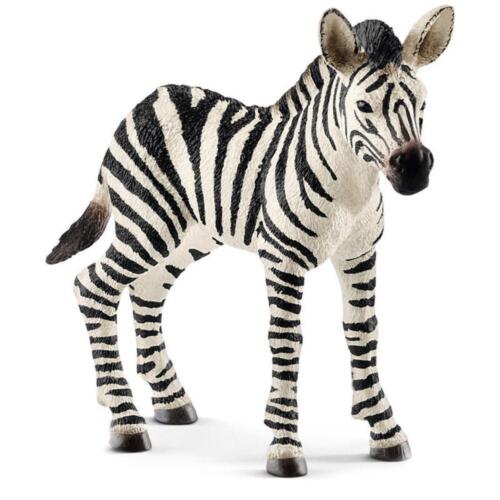 Zebra Foal Toy Figure - Schleich - Afbeelding 1 van 1
