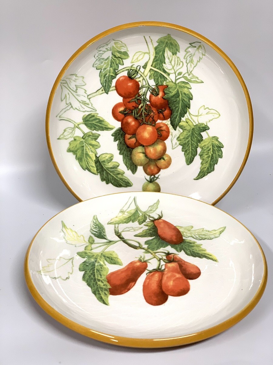 Williams Sonoma Made In Italy Garden Tomatoes 9” Salad Plates Set