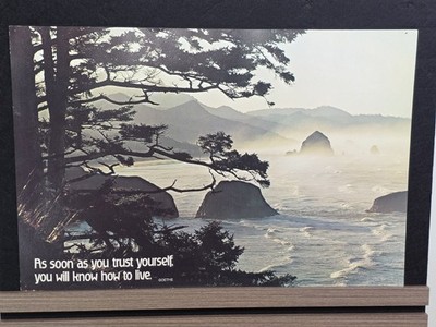 Vintage Motivational Poster 14x21 Argus 1973 Ocean