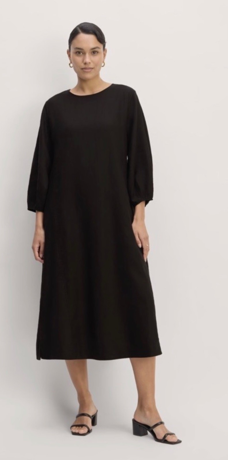 NWT Everlane The Linen A-Line Dress Flax Midi Long Sleeve Sz 12 Black