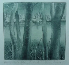 CHRISTIAN MISHKE B1944 ORIGINAL PENCIL SIGNED ETCHING 6/12 'DIE LIBELLE' 1982