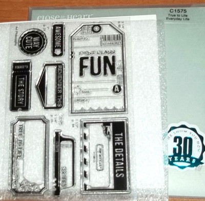 CTMH C1575 TRUE TO LIFE ~ Tags, First Class FUN, Remember This, AWESOME, Details