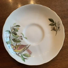 Audubon Birds Cardinal Saucer~ TUSCAN FINE ENGLISH BONE CHINA~ Made In England