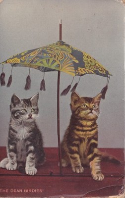Postkarte ''The Dear Birdies'' Katzen & Quasten Biesen verschickt 1914