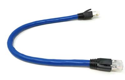 RiteAV Cat8 Network Ethernet Cable Blue 15ft