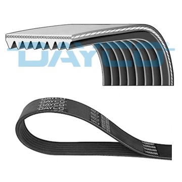 DAYCO 8PK1240HD Courroie Poly-V