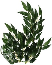Ruscus Pflanze 35cm Exo Terra PT3031 Terrarium Deko Kunstpflanze