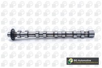 BGA Nockenwelle CS5523 FüR CitroËN Passend FüR Fiat Ford Peugeot Volvo