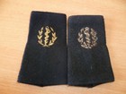 (B37-4) INSIGNE MILITAIRE EPAULETTES GRADE FOURREAUX