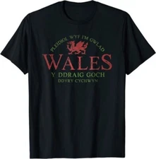 NEW LIMITED Rugby Welsh Red Dragon Flag of Wales T-Shirt