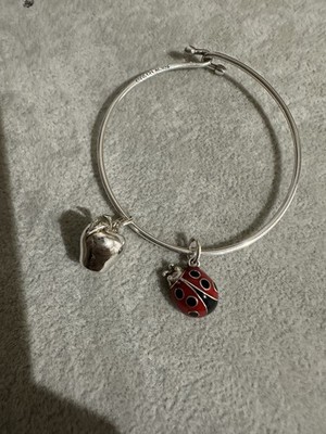 Tiffany & Co Lady Bag  And Apple Charm Bangle
