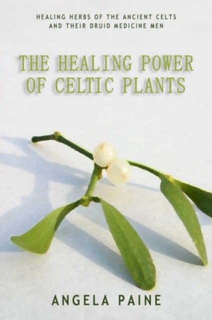 Healing Power of Celtic Plants by Angela Paine (Paperback Book)