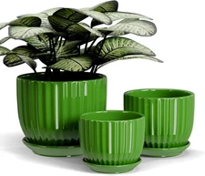 Ceramic Plant Pots,4"+5"+6" Inch,Green Flower Pots with Drainage Holes and Tray,