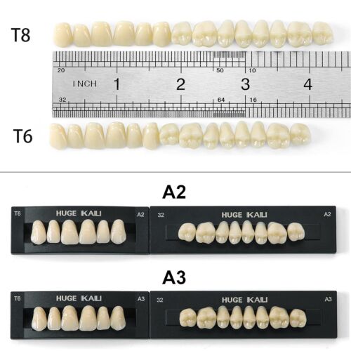 Dientes dentales de resina acrílica dental JMU A2 T6 conjunto completo dientes postizos superior inferior - Imagen 3 de 9