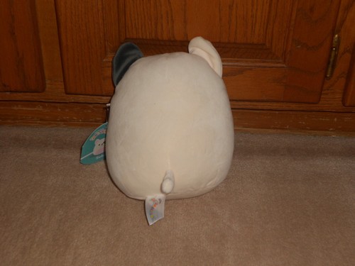 pit bull squishmallow