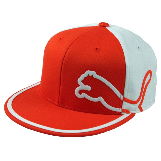puma monoline hat