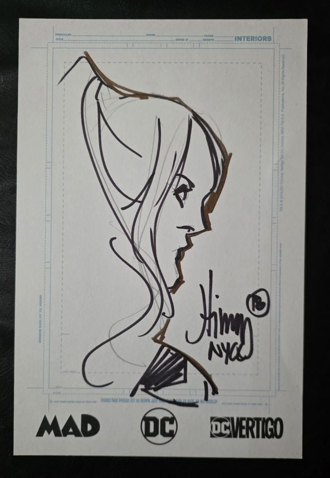 John Timms Original Hand Drawn Ink Sketch Art Wonder Girl Signed DC Promo Card Comic Art