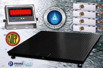 NTEP Water Resistant Floor Scale 36'' x36'' 10000lb with Indicator & Load Cells
