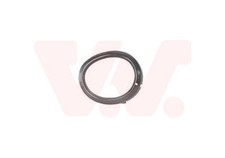 Gitter Von Lüftung, Stoßstange 1826597 VAN WEZEL für Ford