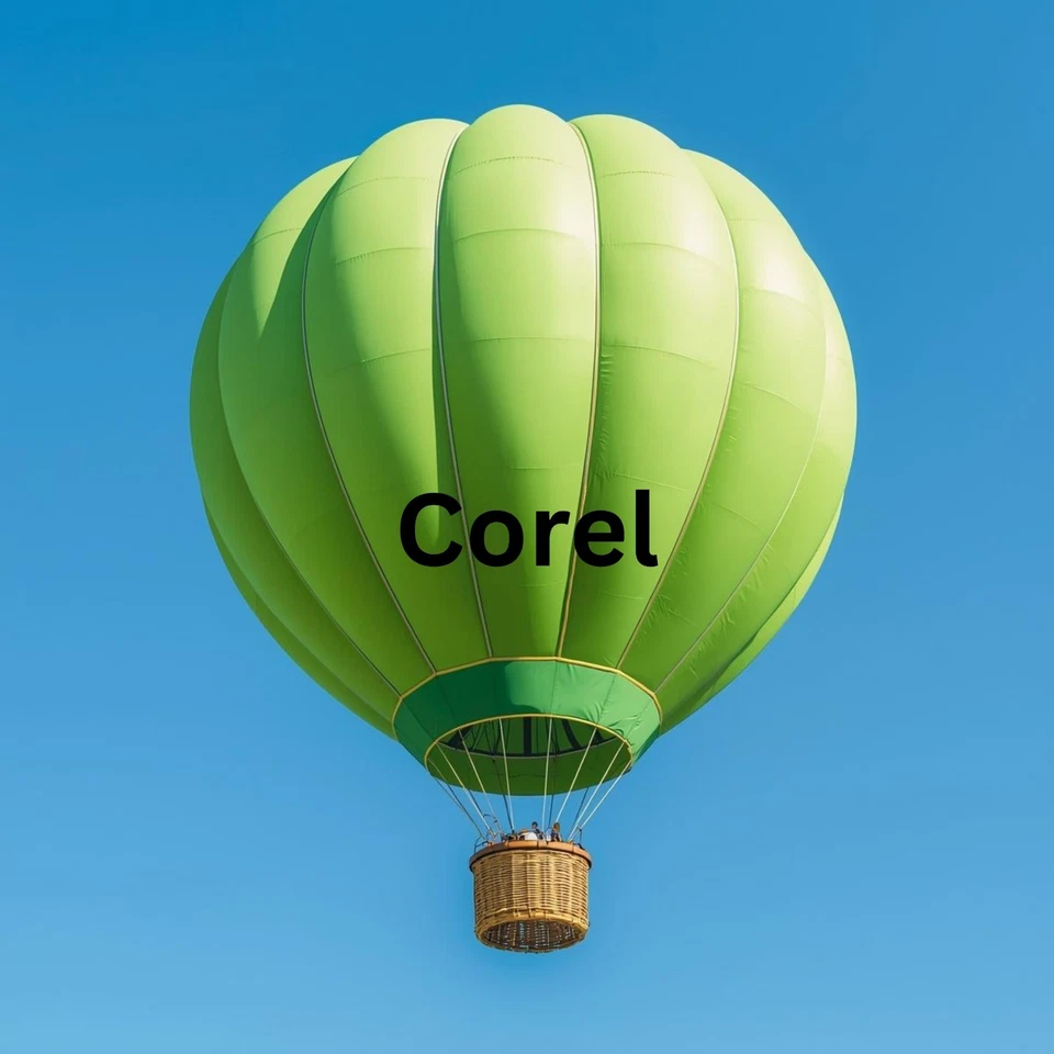 Corel - DRAW Graphics Suite 2019  (Lifetime) - Mac OS - Immagine 2 di 4