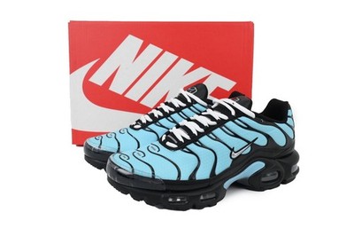 NEW    CV8838-400 Nike Air Max Plus 'Aqua Silver