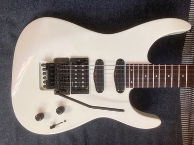 Fernandes Floyd Rose Electric Guitar with Stainless Frets, White, Case