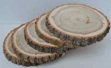 Five Kiln Dried 8" to 9" diameter Wood Slice, Wood Rounds, Wood Slabs, Tree Sli