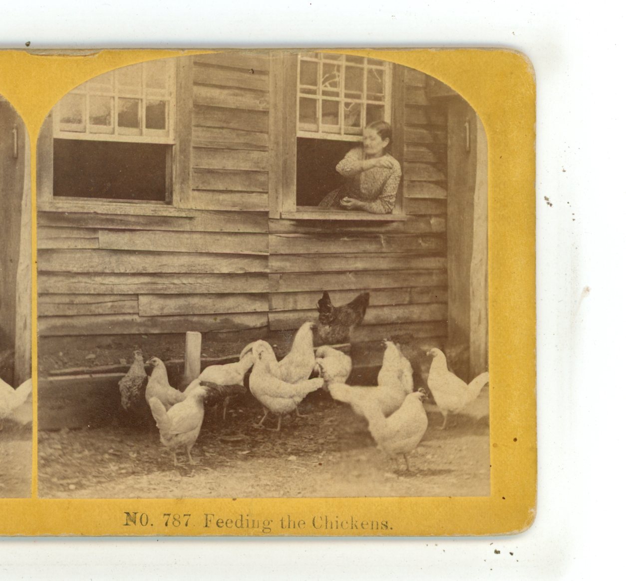 Feeding the Chickens from Window Kilburn Genre Animals Stereoview