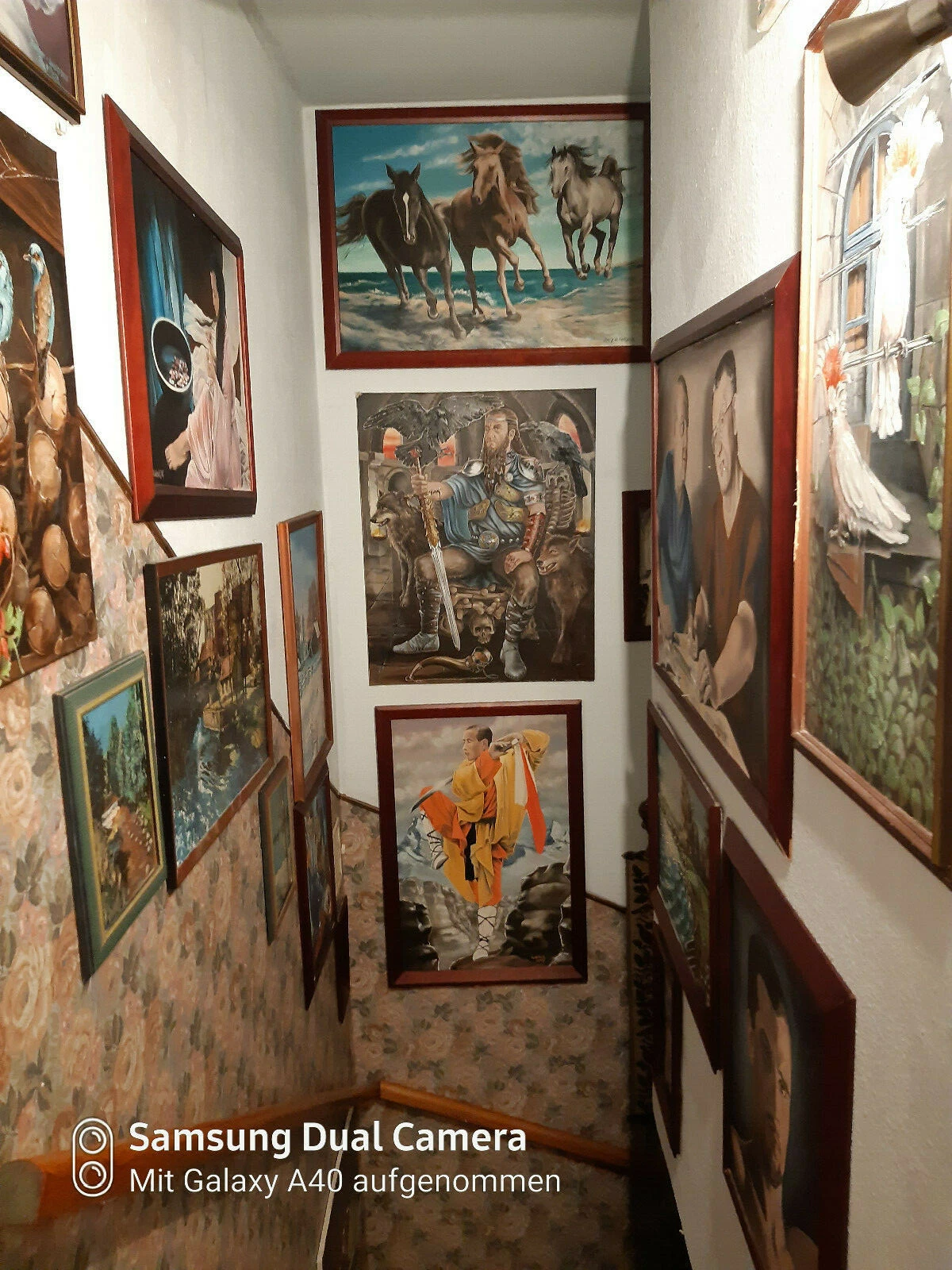 Bild 11 von 12