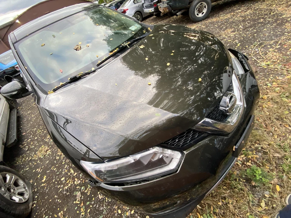 Used Hood fits: 2014 Nissan Rogue VIN 5 1st digit USA built Grade A Foto 3 de 4