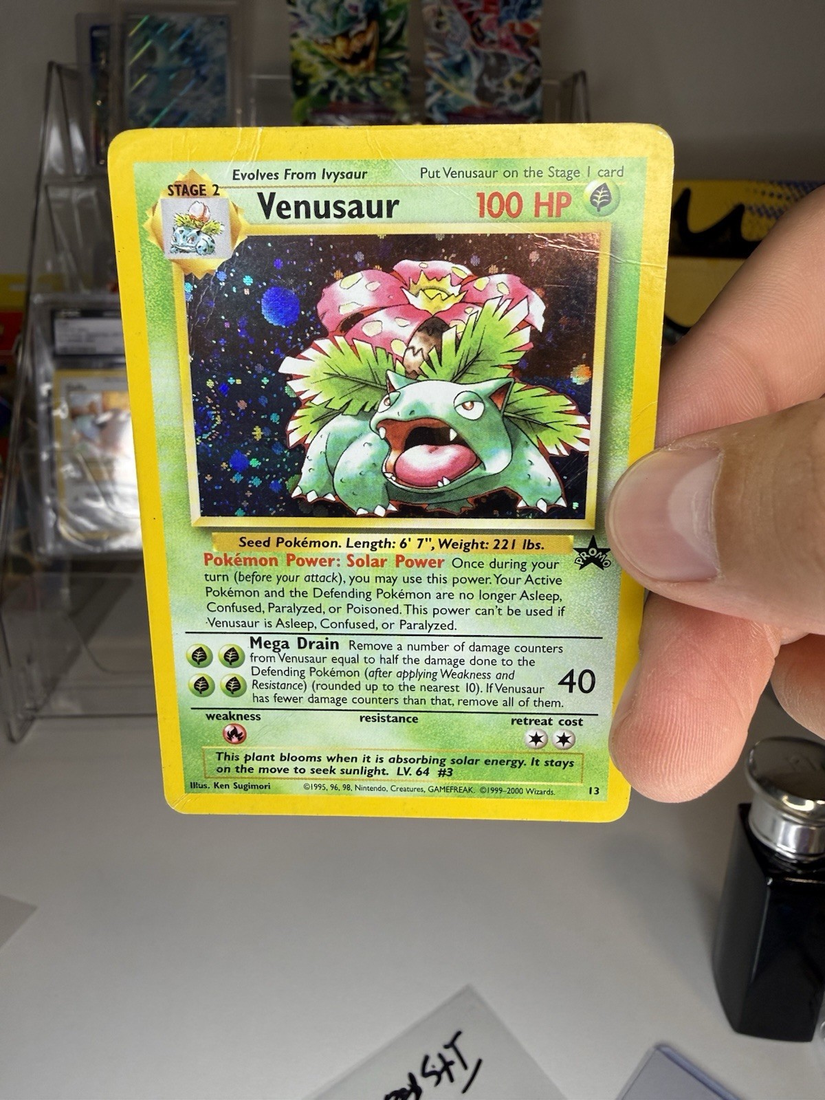Pokémon Venusaur 13/53 Wotc Promo Holo 100 HP Stage 2 Card English