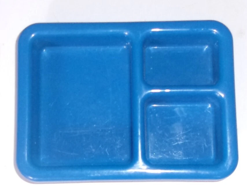 Pet 2024 dish tray