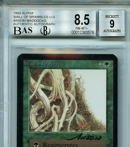MTG Alpha Wall of Brambles BGS 8.5 NM-MT+ BAS 9 Signed Magic card Amricons 3576 - 第 3/5 張圖片