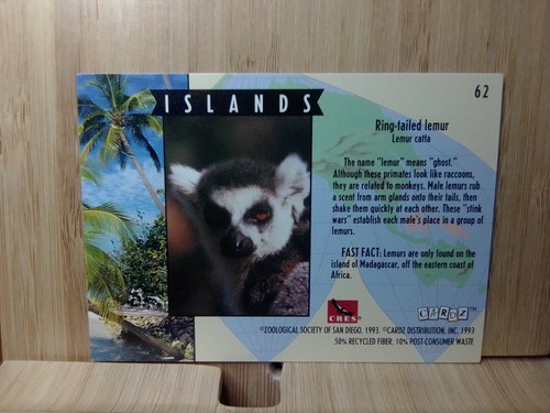 Tarjeta coleccionable #62 del zoológico de San Diego LÉMUR 1993 cola anillada - Imagen 2 de 2