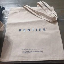 16.5 X 15" Reusable Canvas Bag Pentire Bag