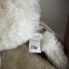 Bild 7 von 12
