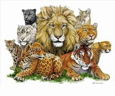 GREAT CATS - ANIMALS ART POSTER 24x36 - NATURE LION TIGER 36034