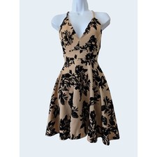 Windsor Taupe Black Floral Velvet Flocked Lace Open Back Skater Dress