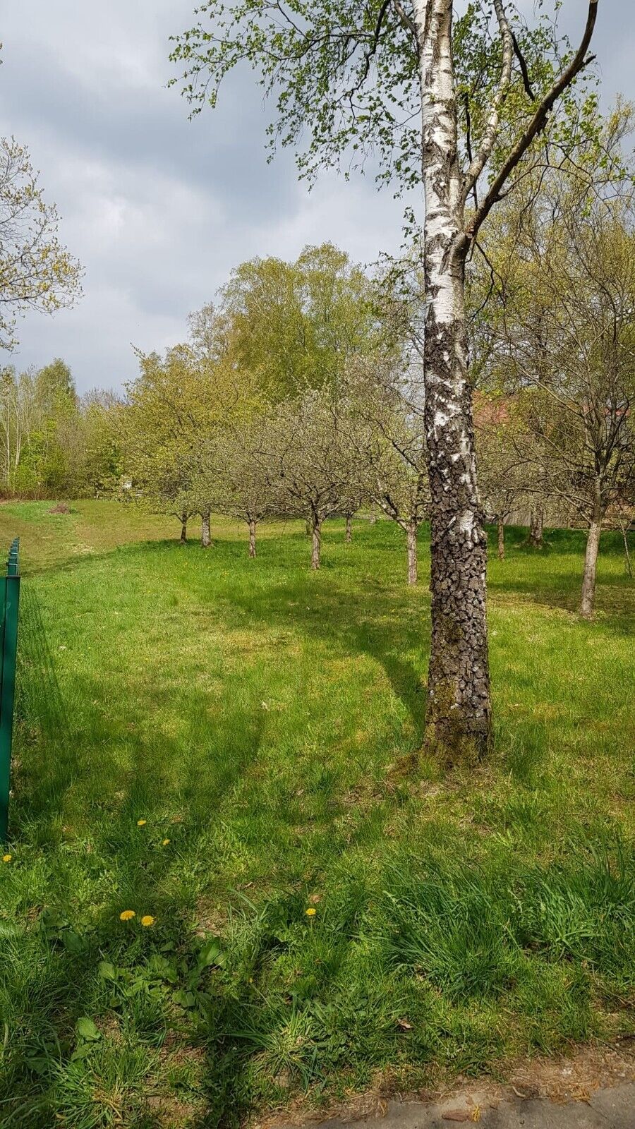 Bild 1 von 20