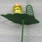 Bild 12 von 12