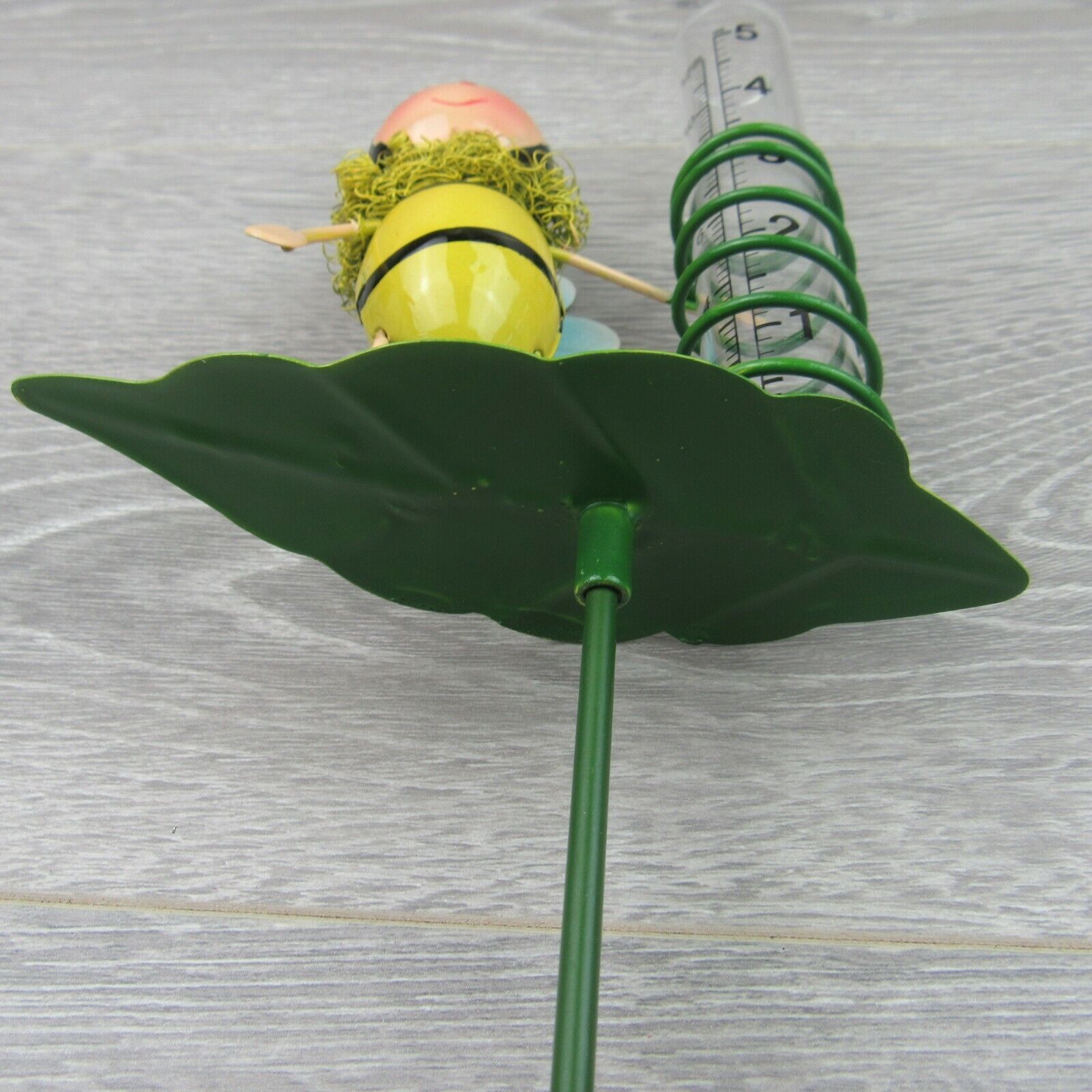 Bild 12 von 12