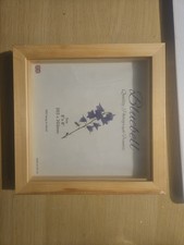 Pine Box deep  photo frame  8x8 Photo Frame Glass New