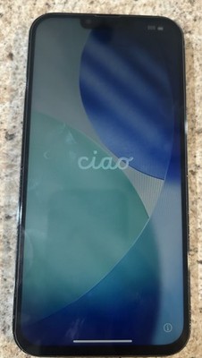 Apple iPhone 13 Pro Max 256GB Back Gold  Unlocked / Plz Read Description & Photo