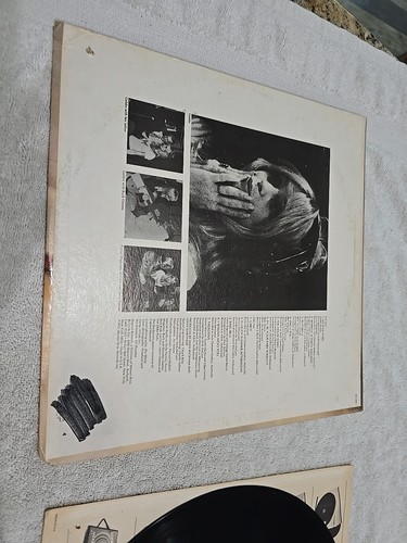 GOLDIE HAWN - GOLDIE - 1972 LP VINYL RECORD - Picture 6 of 19