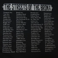 NEW Street names THE STREETS OF THE BRONX NEW YORK NYC TEE T SHIRT Mens XL 