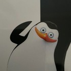 Bild 20 von 20