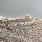 Picture 5 of 16